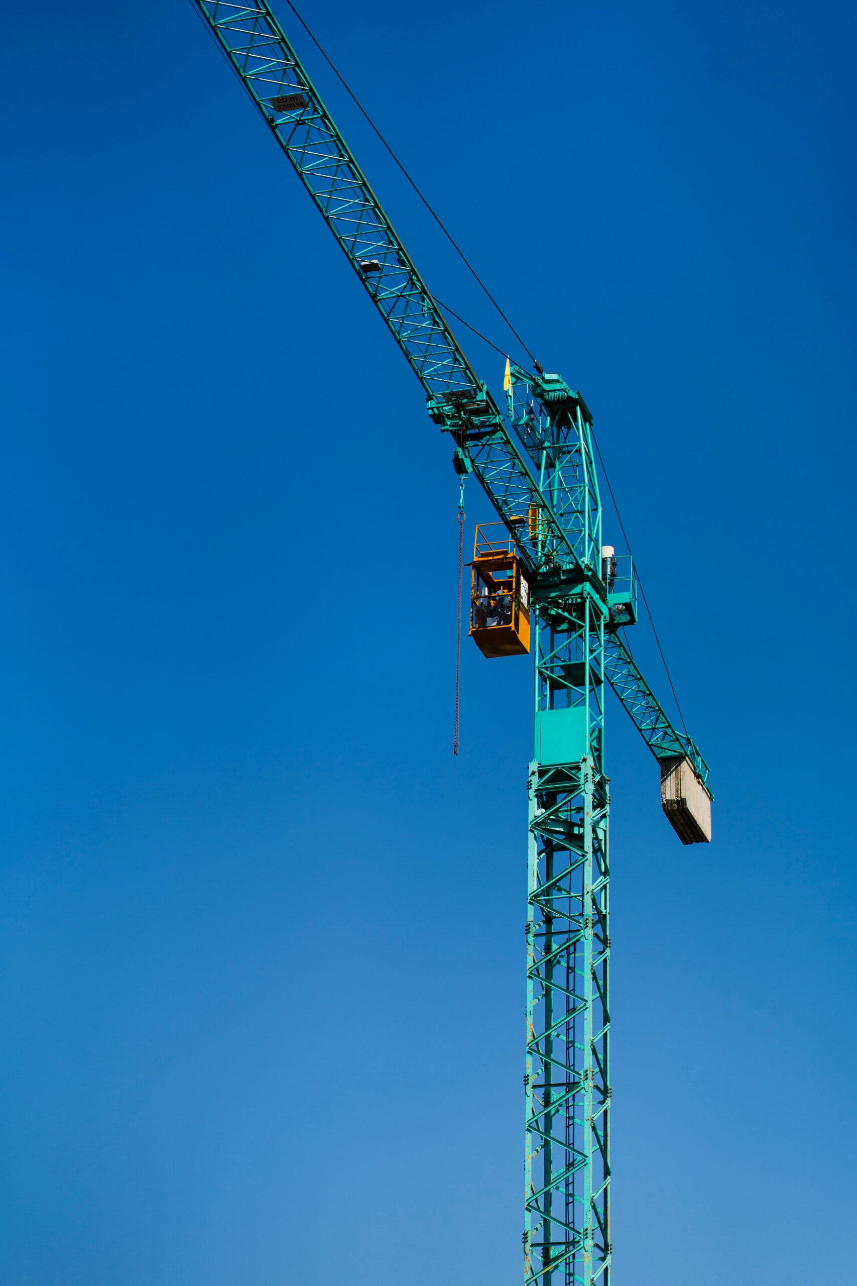 robert norton tfpq6 gvg5g unsplash